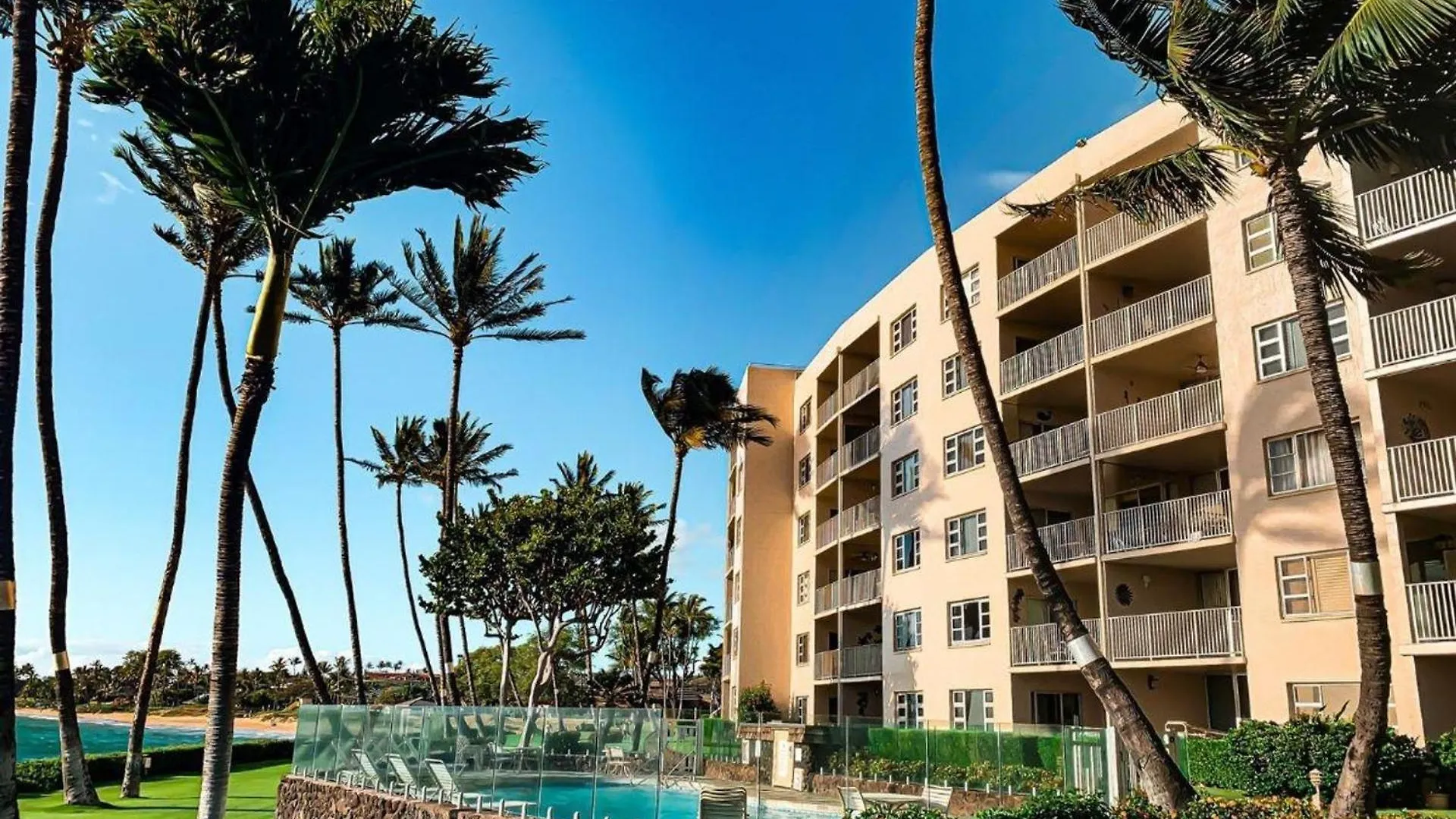 Watch Whales And Sunsets From Your Bed - Double Master Sunset Suite Kihei 0*,