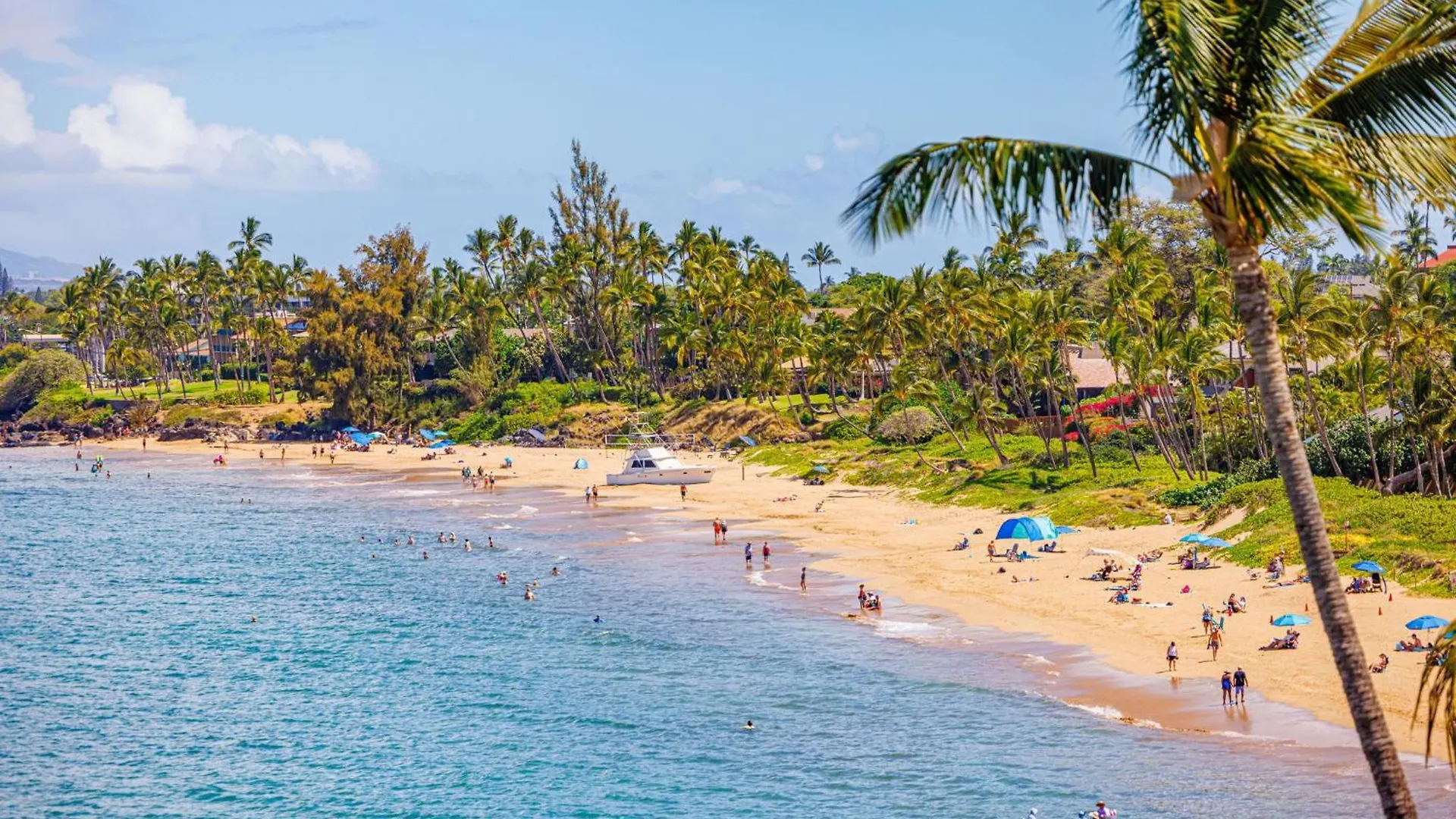 Watch Whales And Sunsets From Your Bed - Double Master Sunset Suite Kihei USA