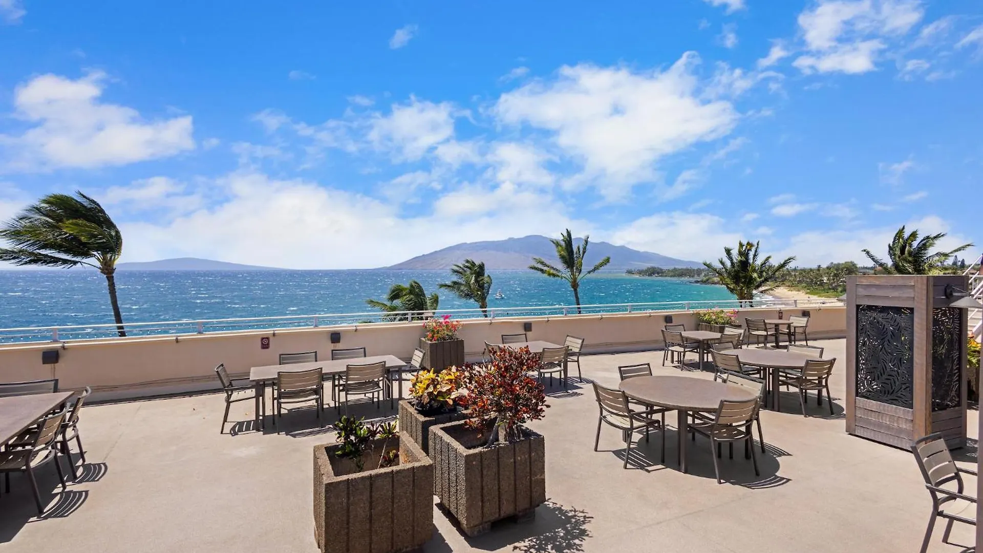 Watch Whales And Sunsets From Your Bed - Double Master Sunset Suite Kihei